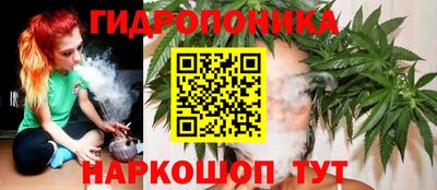 Альфа ПВП Ярославль
